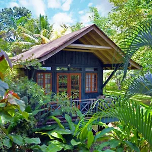 https://sunset-at-the-palms-resort.greaterantilleshotels.net